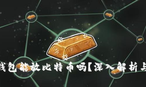 Tokenim钱包能放比特币吗？深入解析与使用指南