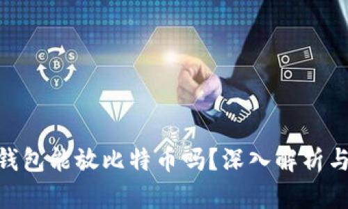 Tokenim钱包能放比特币吗？深入解析与使用指南
