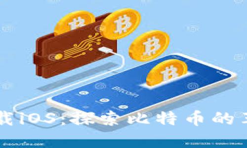 中本聪下载iOS：探索比特币的革命与应用