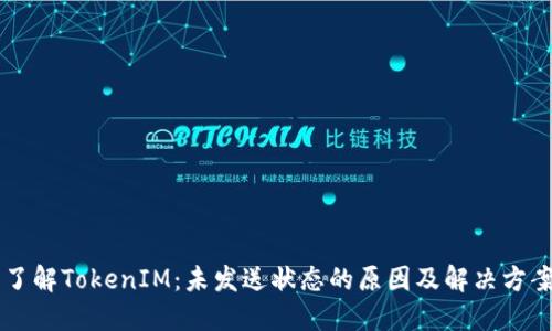了解TokenIM：未发送状态的原因及解决方案