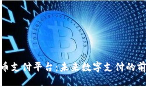 : 泰达币支付平台：未来数字支付的前沿选择