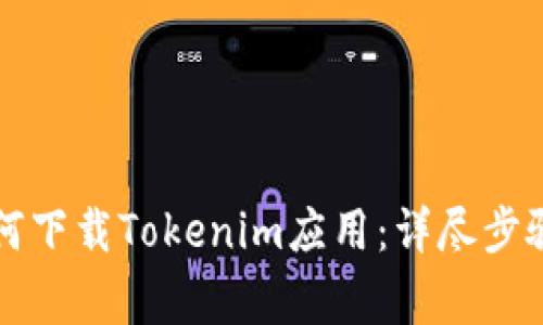 苹果手机如何下载Tokenim应用：详尽步骤与注意事项