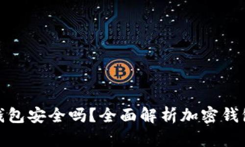 个人加密钱包安全吗？全面解析加密钱包的安全性