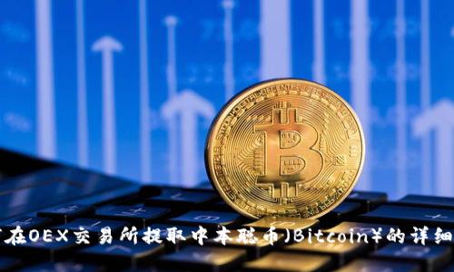 如何在OEX交易所提取中本聪币（Bitcoin）的详细指南
