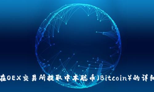 如何在OEX交易所提取中本聪币（Bitcoin）的详细指南