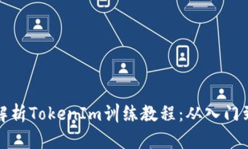 全面解析TokenIm训练教程：从入门到进阶