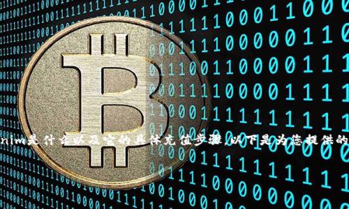 在进行Tokenim打款或资金充值之前，首先需要了解Tokenim是什么以及它的具体充值步骤。以下是为您提供的关于Tokenim充值的、关键词、内容大纲、相关问题等内容。


如何在Tokenim上打款？详细步骤和注意事项