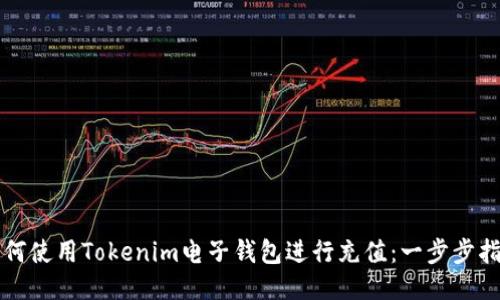 如何使用Tokenim电子钱包进行充值：一步步指南