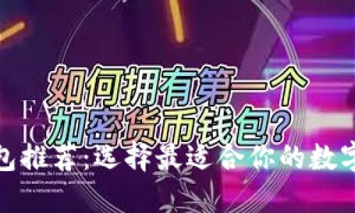 数字币钱包推荐：选择最适合你的数字货币钱包
