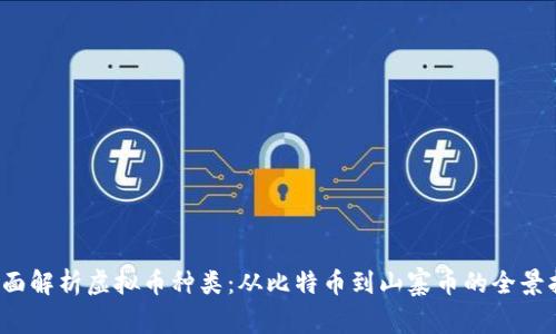  全面解析虚拟币种类：从比特币到山寨币的全景指南