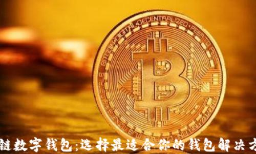 
多链数字钱包：选择最适合你的钱包解决方案