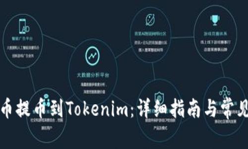 如何将云币提币到Tokenim：详细指南与常见问题解析