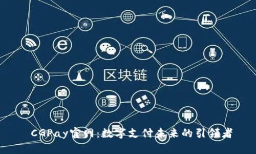  CGPay官网：数字支付未来的引领者