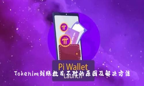Tokenim到账数目不对的原因及解决方法