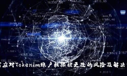 如何应对Tokenim账户权限被更改的风险及解决方案