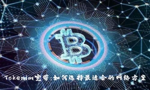 Tokenim宽带：如何选择最适合的网络方案