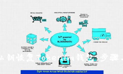 如何利用私钥恢复Tokenim钱包：步骤与注意事项